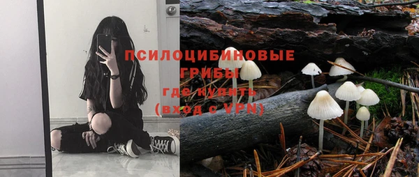дурь Михайловка