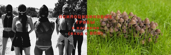 дурь Михайловка